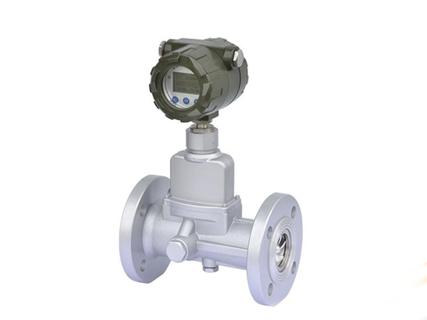 旋進(jìn)旋渦流量計